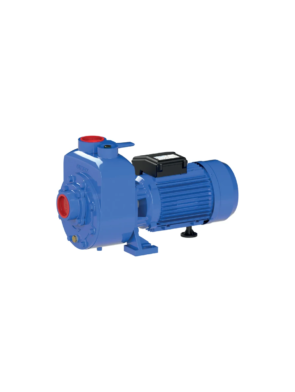 Sumak DSMT220/2 Santrifüj Pompa